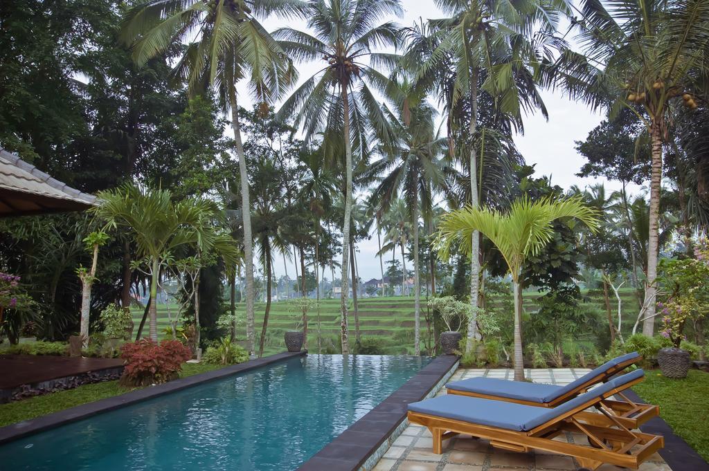 Junjungan Pool & 3*