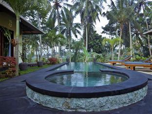 Junjungan Pool &
